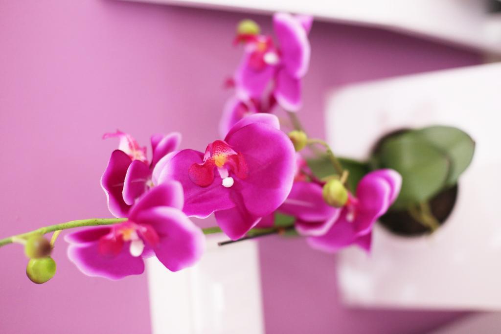 Iris Room Roma Quarto foto